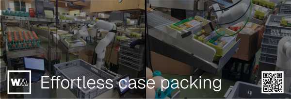Effortless case packing - a robot arm grabbing eggs in a cardboard on an assembly line