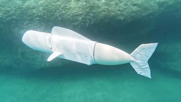 a picture of a robotic fish